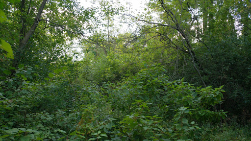 Park «Evergreen West Park», reviews and photos, 1033 Tamberwood Trail, St Paul, MN 55125, USA