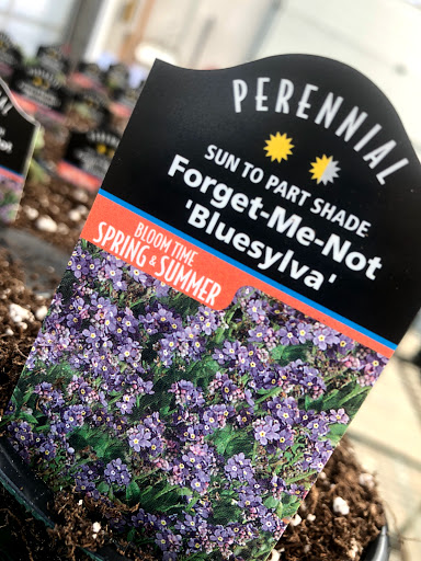 Florist «The Garden», reviews and photos, 155 Main St N, Woodbury, CT 06798, USA