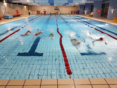 Club de natation Les Dauphins Aixois à Aixe-sur-Vienne