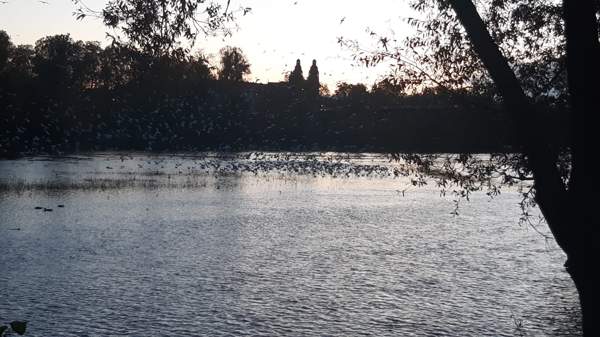 Photo n° 11 de l'avis de Haly.h fait le 30/10/2023 à 17:59
