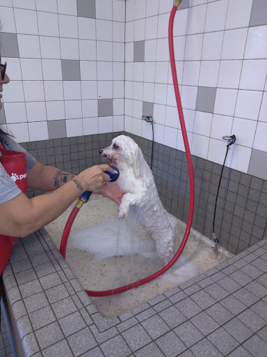 Pet Supply Store «Pet Food Express», reviews and photos, 5829 Lone Tree Way, Antioch, CA 94531, USA