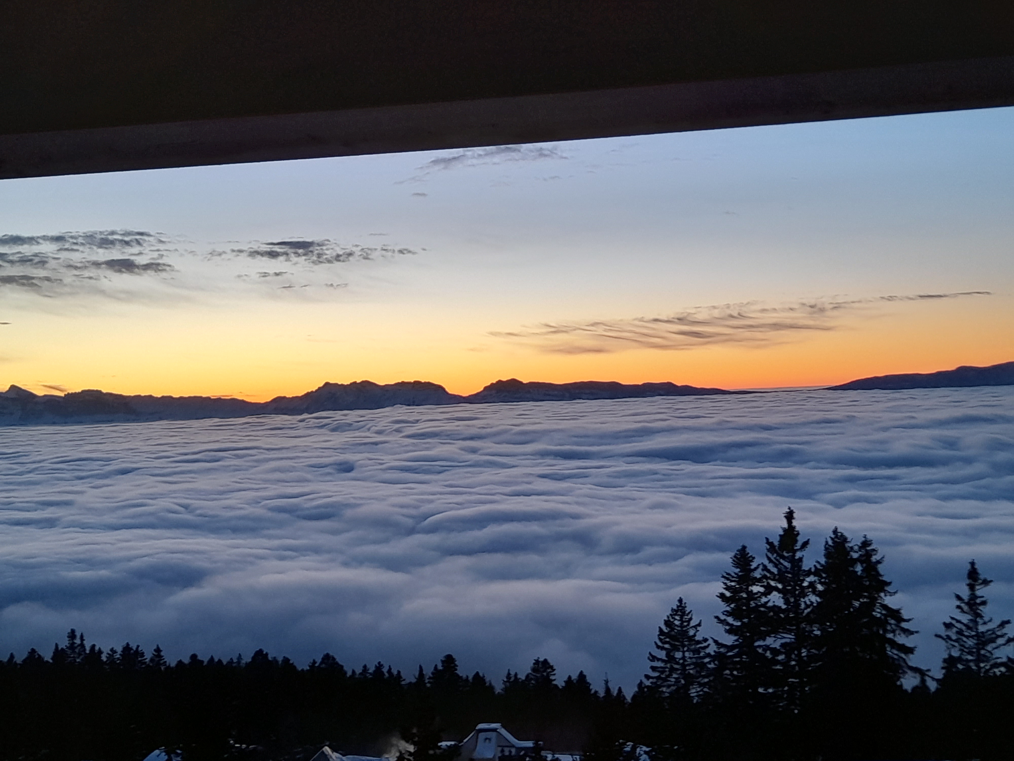 Photo n° 4 de l'avis de sch.a fait le 27/01/2023 à 21:27