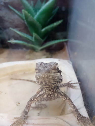 Pet Supply Store «Petco Animal Supplies», reviews and photos, 1704 US Hwy 27 S, Sebring, FL 33870, USA