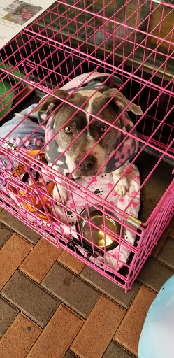 Pet Supply Store «PetSmart», reviews and photos, 12483 Limonite Ave, Mira Loma, CA 91752, USA