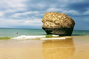 Matalascañas Beach image