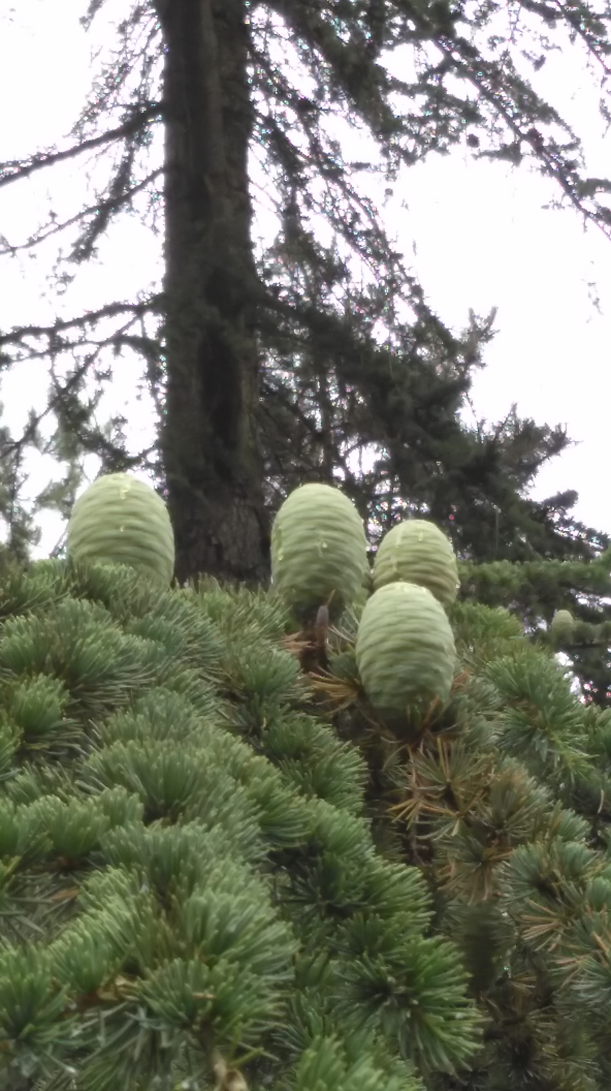 Photo n° 6 de l'avis de Delka. fait le 17/07/2017 à 18:45