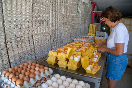 Azienda Agricola Galline Felici