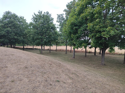 Terril de Vermelles à Vermelles