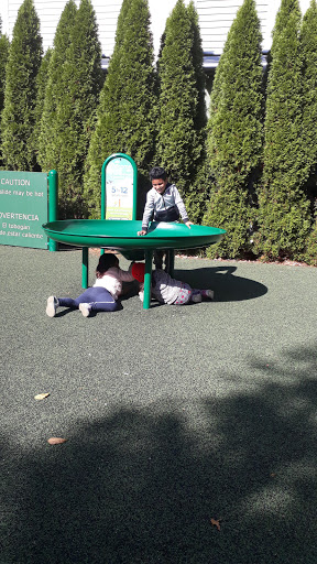 Amusement Park «The Adventure Park at the Discovery Museum», reviews and photos, 4450 Park Ave, Bridgeport, CT 06604, USA