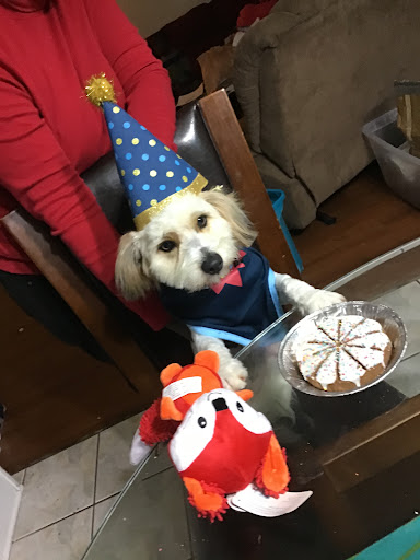 Pet Store «PetSmart», reviews and photos, 6545 North Grand Parkway West Suite 104, Spring, TX 77389, USA