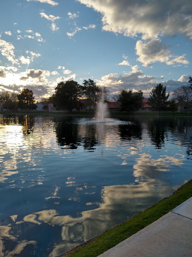 Park «Arrowhead Meadows Park», reviews and photos, 1475 W Erie St, Chandler, AZ 85224, USA