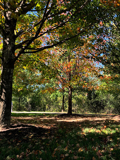 Gift Shop «Meijer Gardens Gift Shop», reviews and photos, 1000 E Beltline Ave NE, Grand Rapids, MI 49525, USA