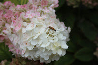 Betzold Photography - Photo 9 - Car repair in Bay City, MI, Saginaw