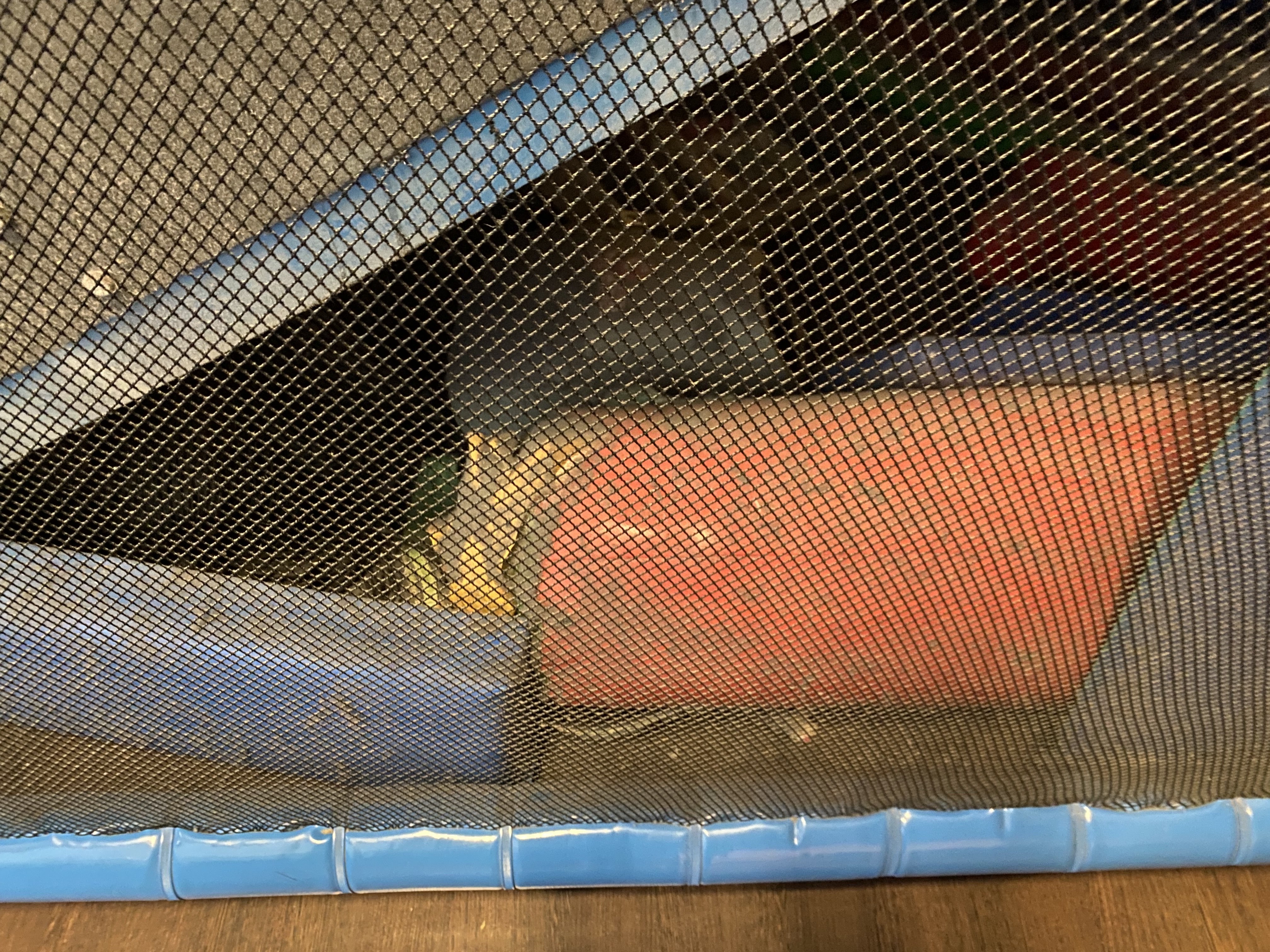 Photo n° 2 de l'avis de Prisc..a fait le 02/05/2023 à 14:03