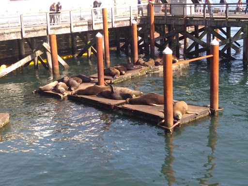 Coffee Shop «Bayscapes Gallery & Coffee house», reviews and photos, 333 SW Bay Blvd, Newport, OR 97365, USA