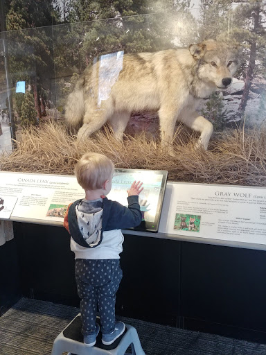 Nature Preserve «Majestic View Nature Center», reviews and photos, 7030 Garrison St, Arvada, CO 80004, USA