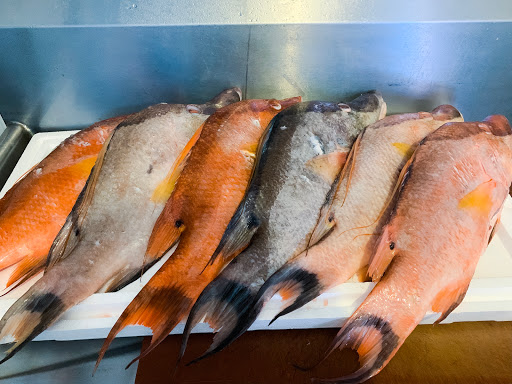 Seafood Market «Jensen Brothers Seafood», reviews and photos, 911 Douglas Ave, Dunedin, FL 34698, USA