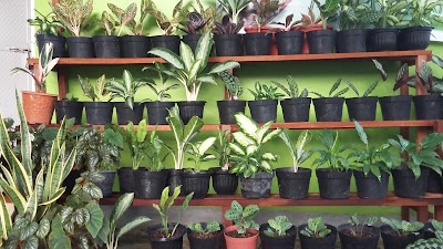 Photos of Saladin Cell & Florist
