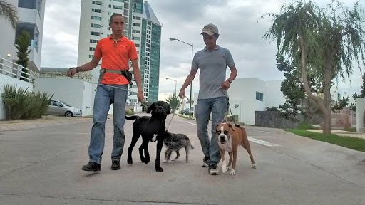 Alojamientos perros León