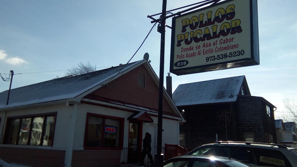 Pollos Pucalor 07960