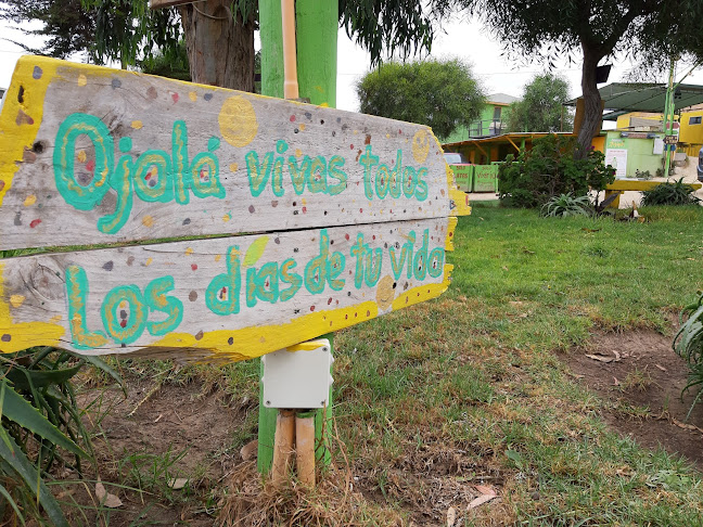 Camping Ripipal - Camping