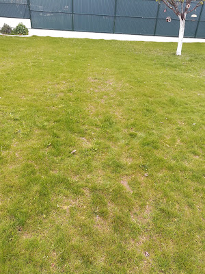 Espace Paysage à Bourges