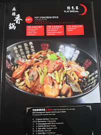 Cuisine chinoise du Restaurant chinois CHEZ HL à Paris - n°4