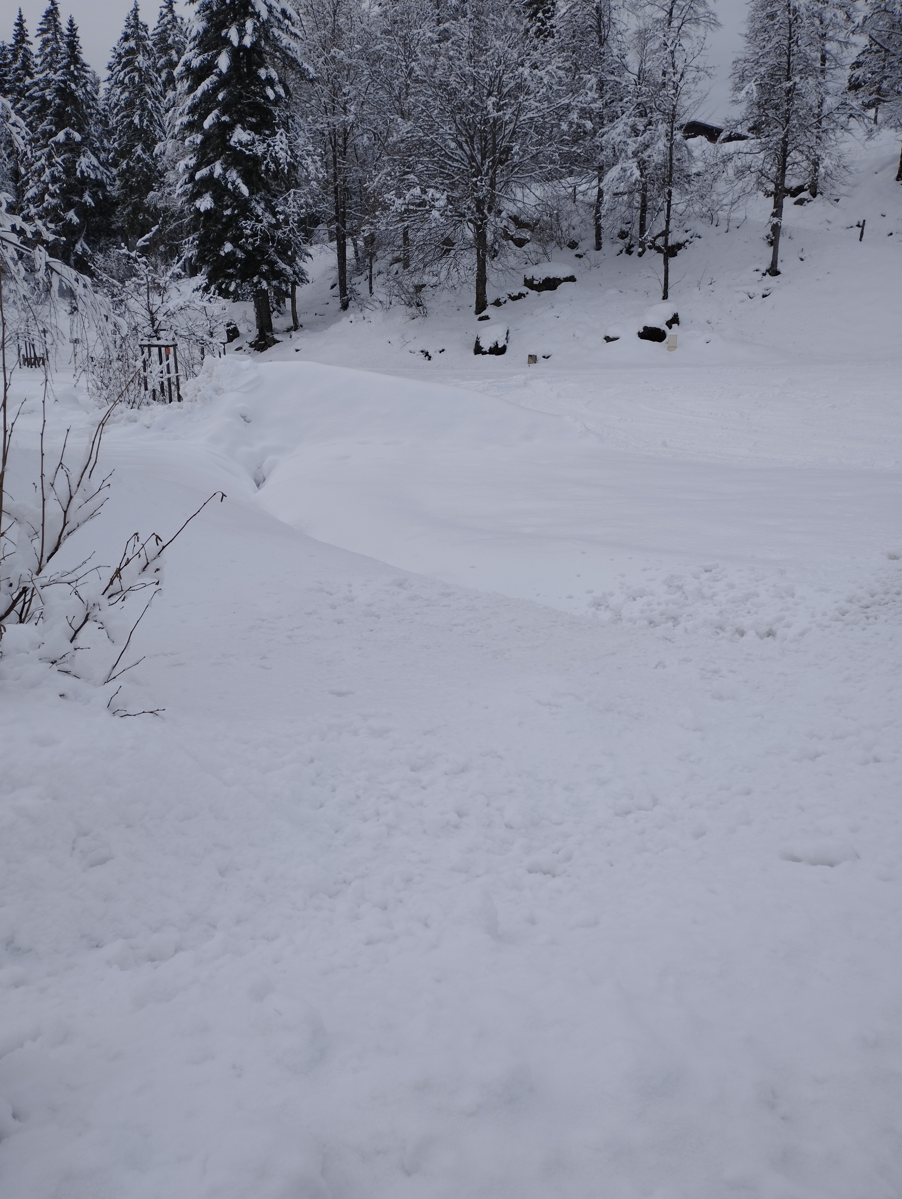 Photo n° 19 de l'avis de Géraldine.a fait le 08/12/2023 à 17:24