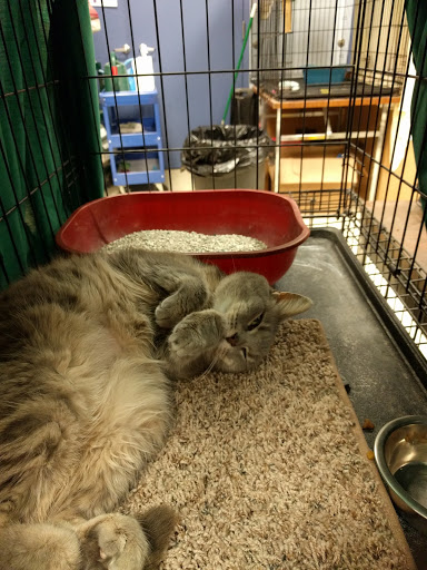 Almost Home Humane Society