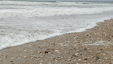 Plage naturiste de la Giraudière - Oléron Le Grand-Village-Plage