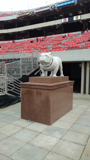 Stadium «Sanford Stadium», reviews and photos, 100 Sanford Dr, Athens, GA 30602, USA