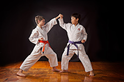 Sensei Meir's Karate & Self Defense