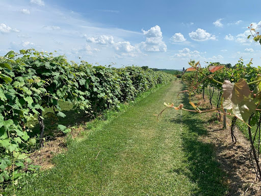 Winery «Massbach Ridge Winery», reviews and photos, 8837 S Massbach Rd, Elizabeth, IL 61028, USA