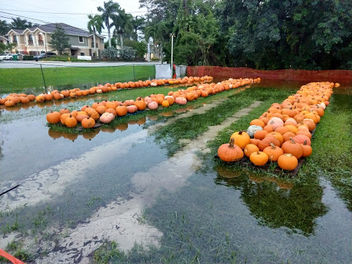 Museum «Old Davie School Historical Museum», reviews and photos, 6650 Griffin Rd, Davie, FL 33314, USA