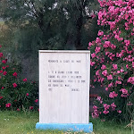 Photo n°50 de l'avis de Michael.a fait le 11/09/2023 à 14:52 sur le  Amantea à San Giacomo-Marinella