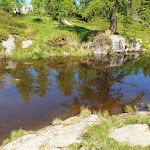 Photo n°37 de l'avis de Davide.a fait le 13/06/2021 à 18:08 sur le  Plan Coumarial à Fontainemore