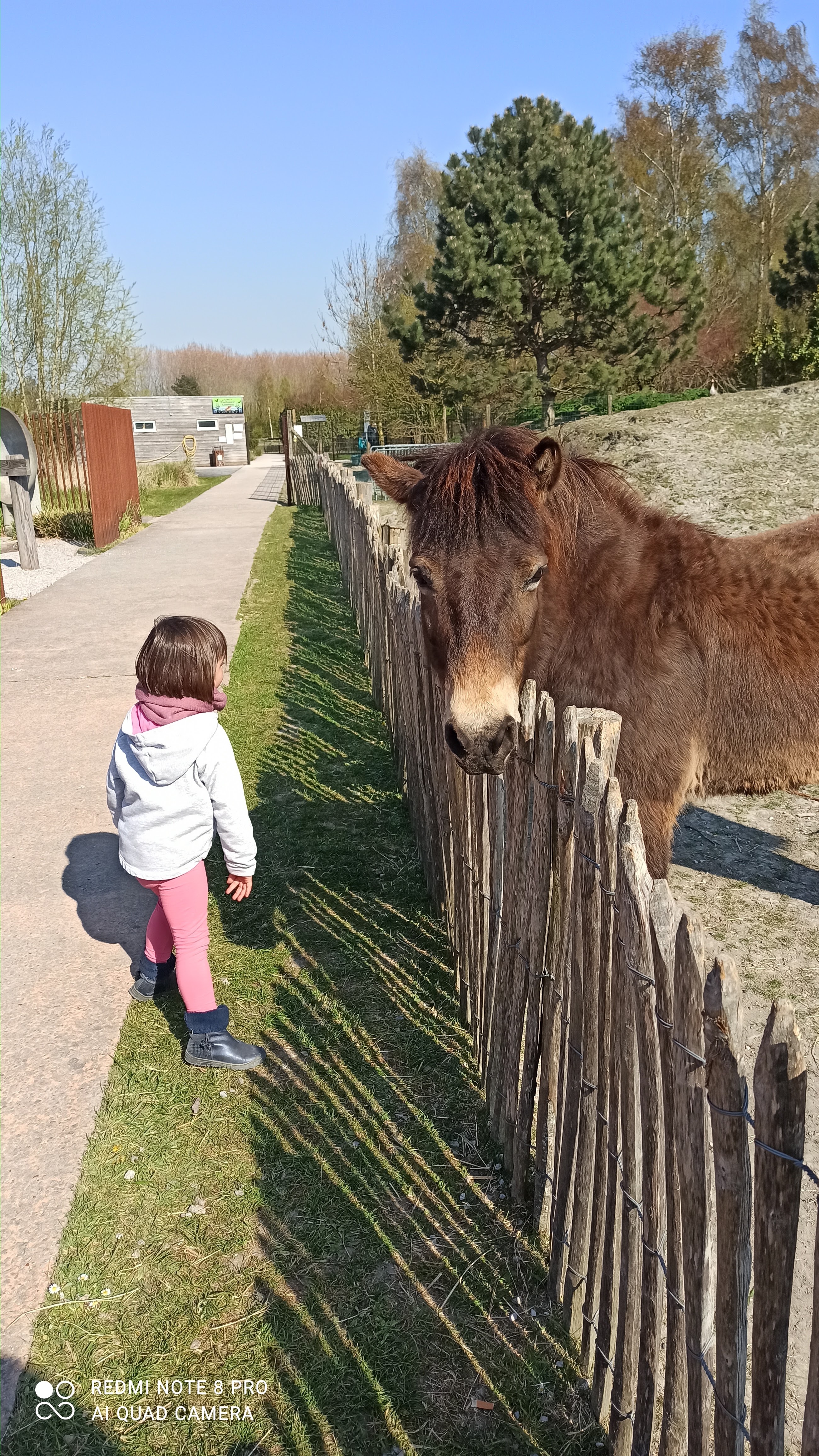 Photo n° 2 de l'avis de PRUGNIEL.U fait le 30/04/2021 à 12:07
