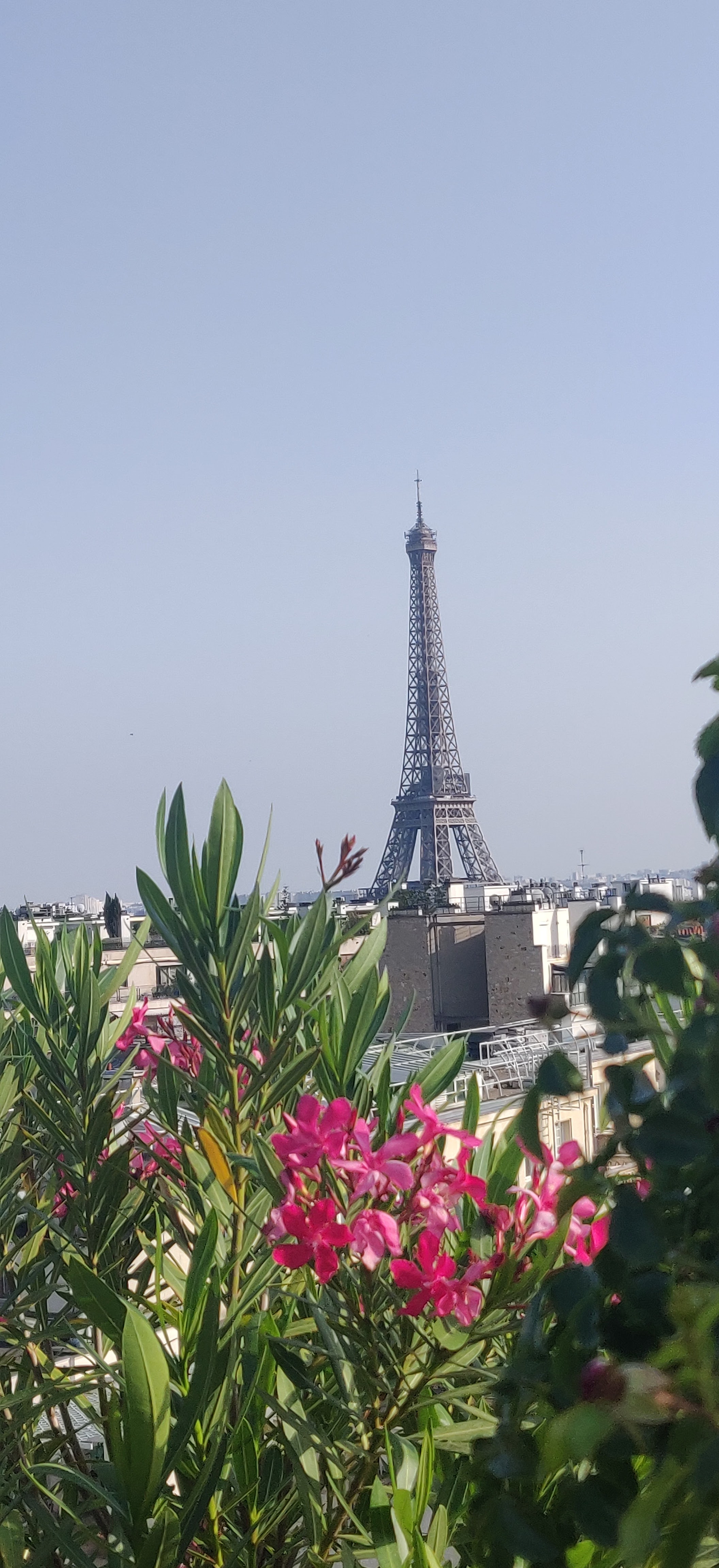 Photo n° 1 de l'avis de Michaël.a fait le 20/06/2022 à 08:07