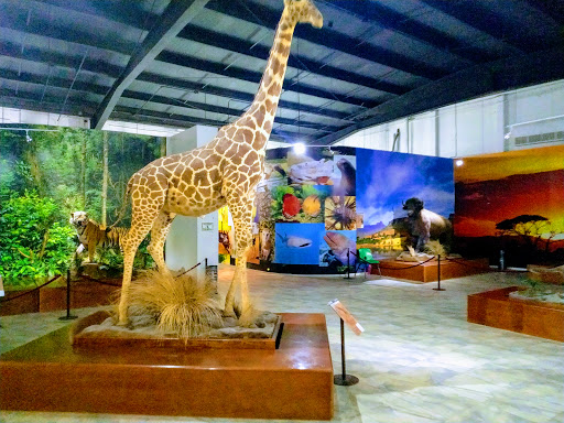 Museo Ecatepec de Morelos