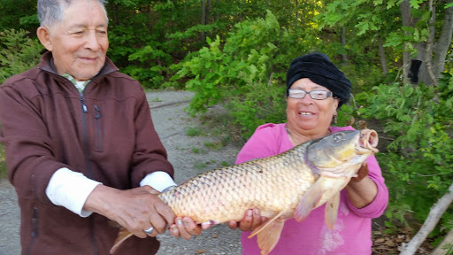 Nature Preserve «Esopus Meadows Preserve», reviews and photos, 257 River Rd, Ulster Park, NY 12487, USA