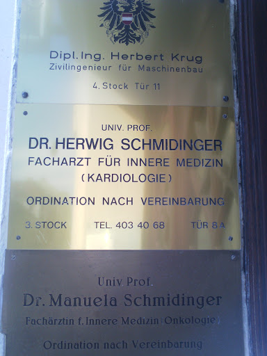 Univ. Prof. Dr. Herwig Schmidinger