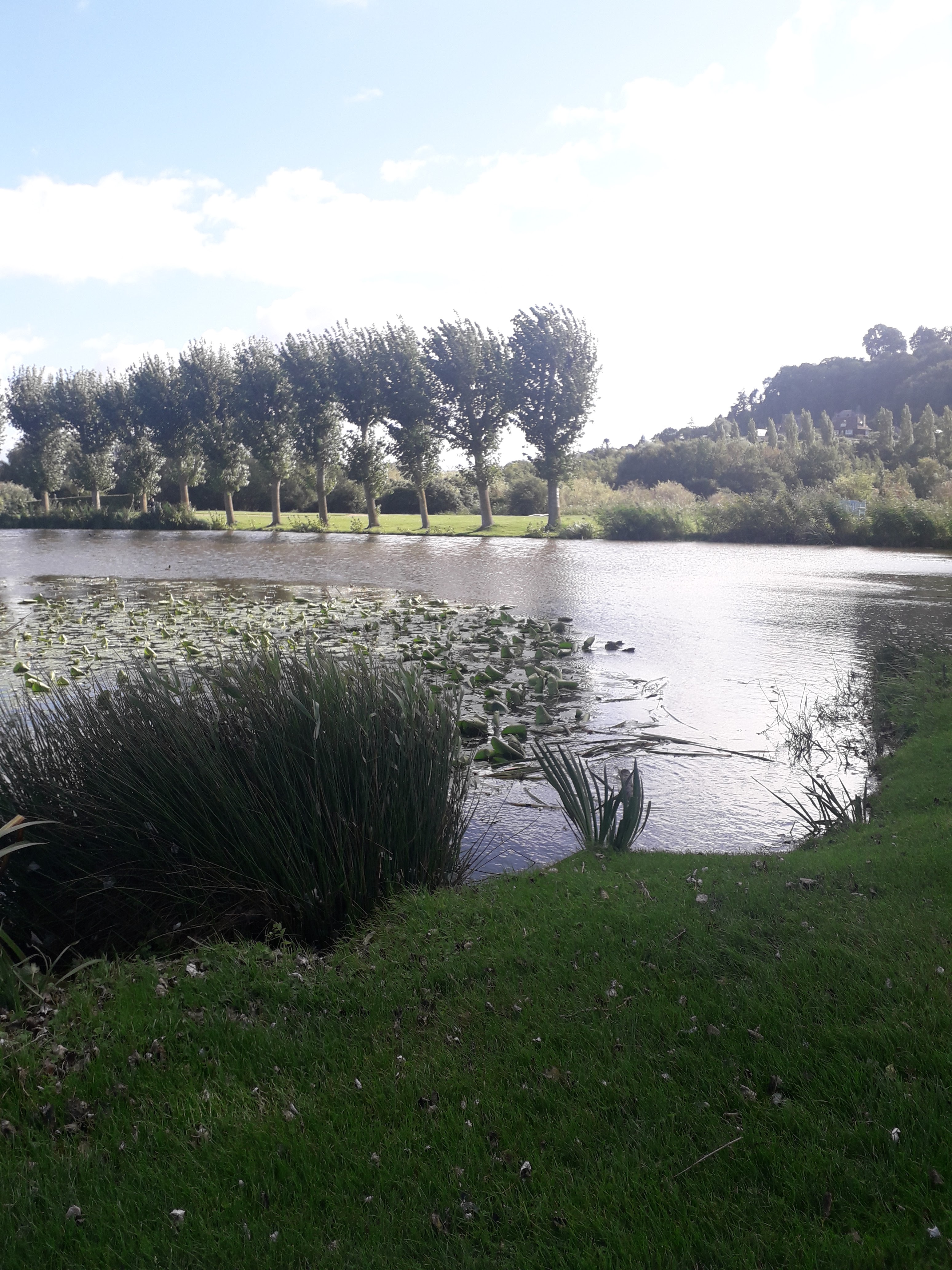 Photo n° 6 de l'avis de Socecha.4 fait le 06/10/2021 à 13:41