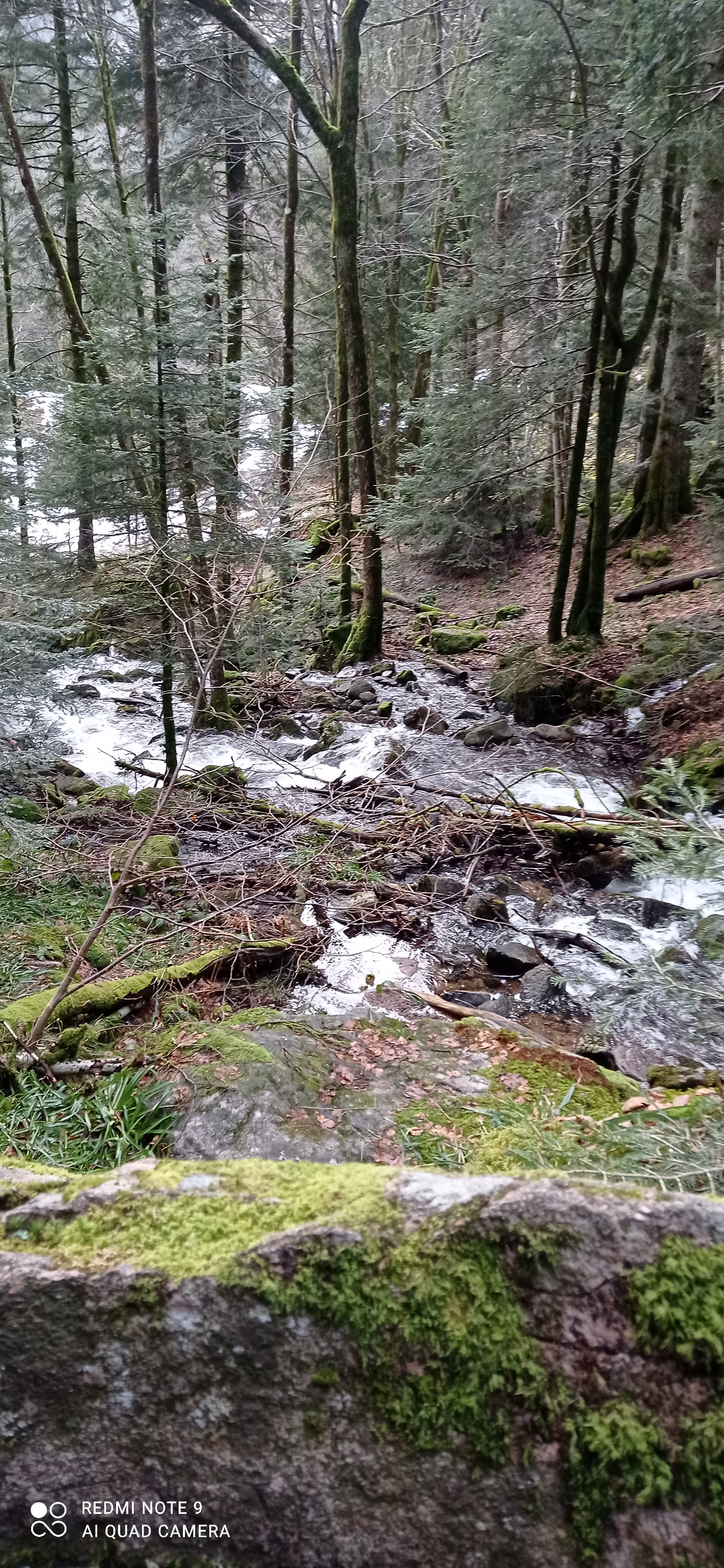 Photo n° 8 de l'avis de Sabrina.e fait le 24/02/2022 à 10:25