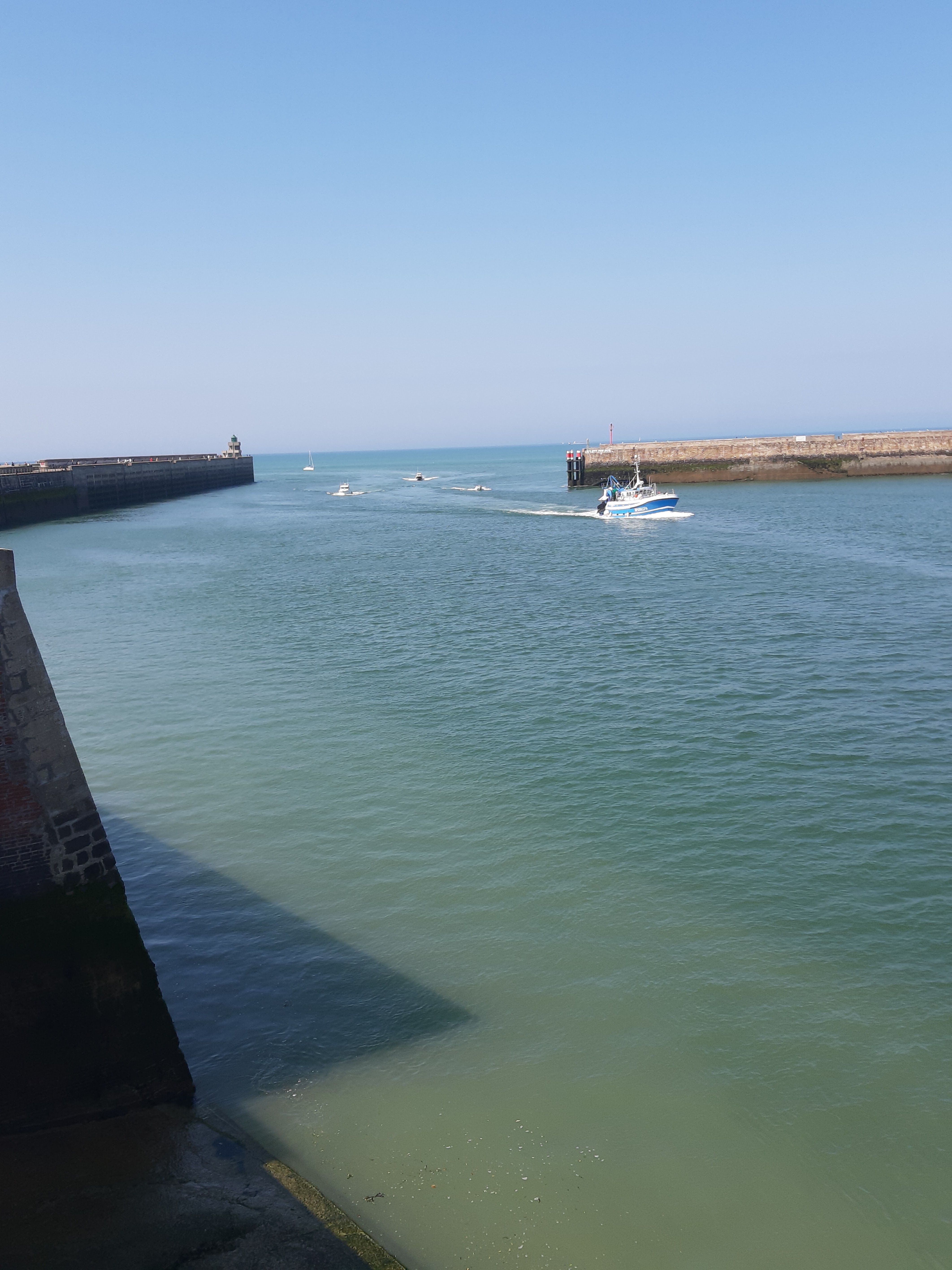 Photo n° 3 de l'avis de Marie-france.e fait le 09/07/2021 à 09:13