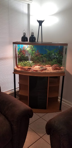 Pet Store «Everything Pet», reviews and photos, 3616 N Fry Rd, Katy, TX 77449, USA