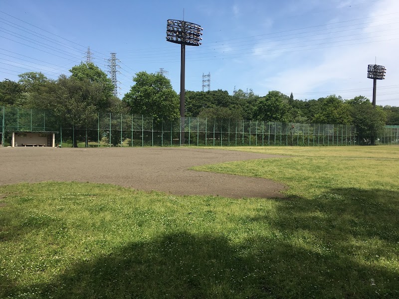 武蔵野公園野球場