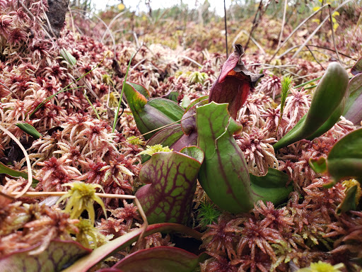 Nature Preserve «Lee & Rose Warner Nature Center», reviews and photos, 15375 Norell Ave N, Marine on St Croix, MN 55047, USA