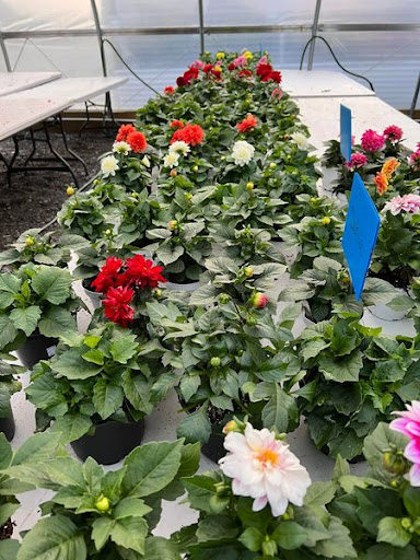 Florist «TG Designs», reviews and photos, 19231 Longmeadow Rd, Hagerstown, MD 21742, USA