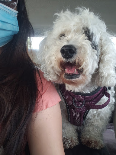 Pet Supply Store «Petco Animal Supplies», reviews and photos, 8800 Tampa Ave, Northridge, CA 91324, USA