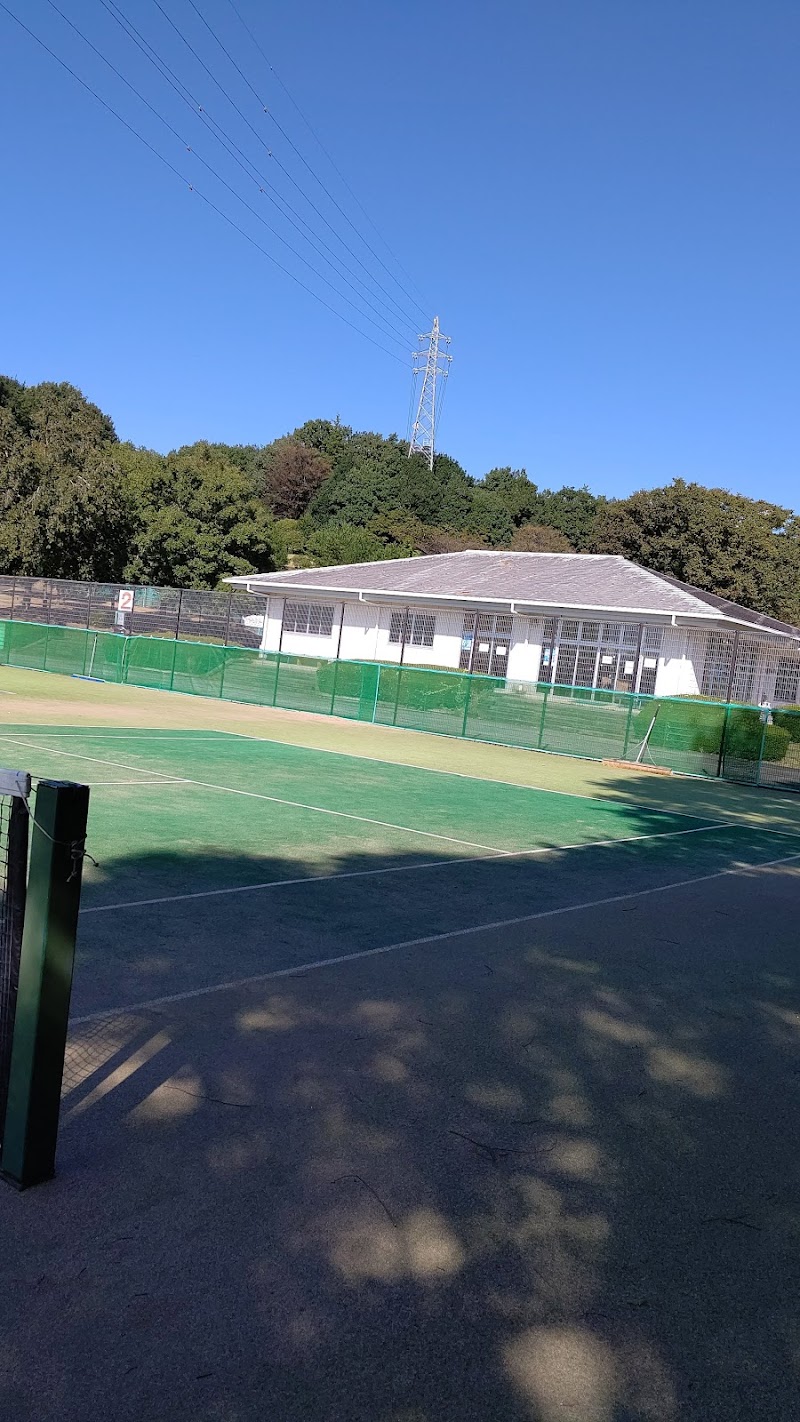 那須野ヶ原公園 テニスコート 栃木県那須塩原市接骨木 テニス コート グルコミ